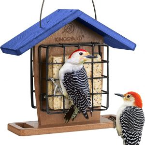 Suet-Feeders and Holders