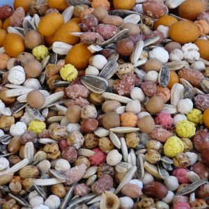 Premium Bulk Bird Seed Mixes